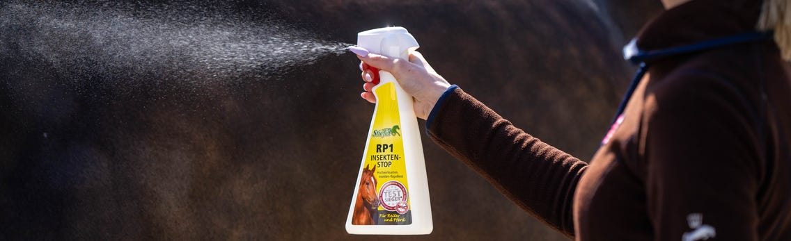 Insektenschutz