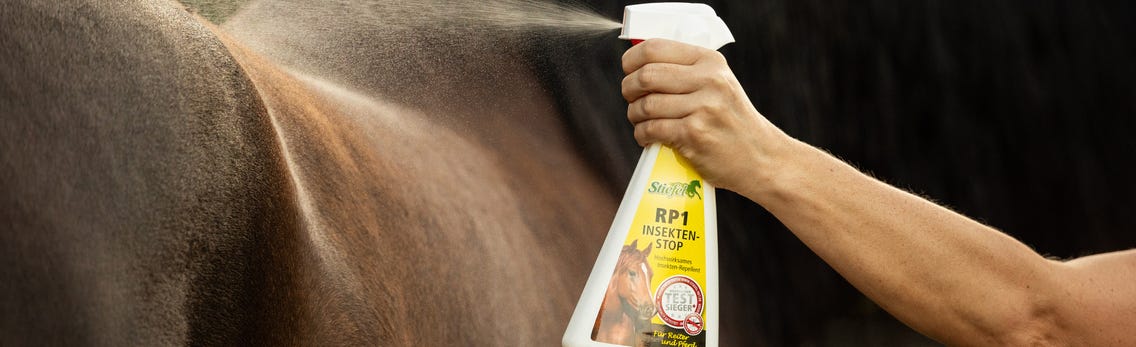 Insektenschutz