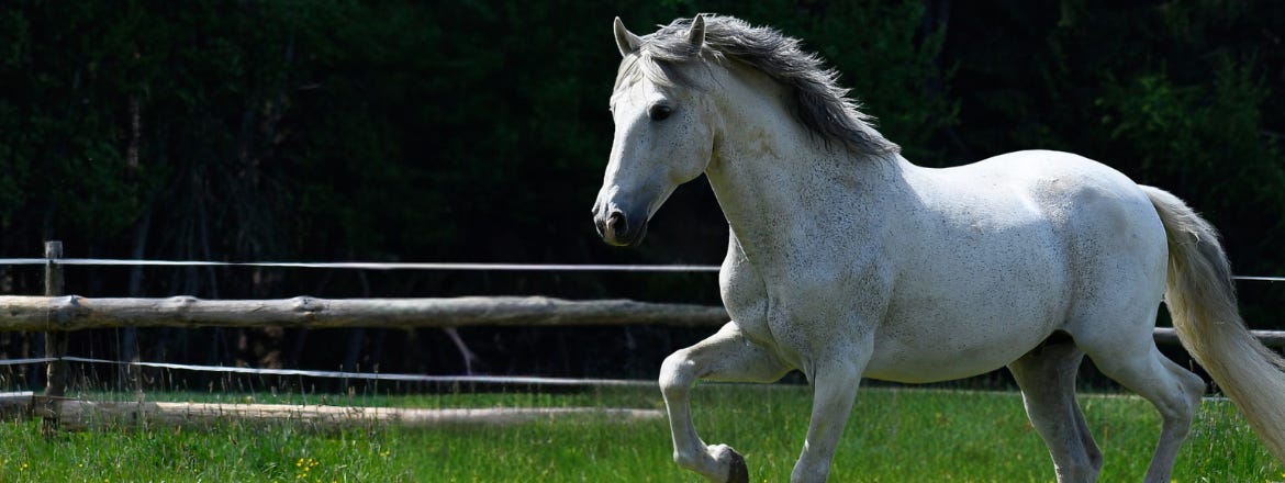 10% auf alle Neuheiten!