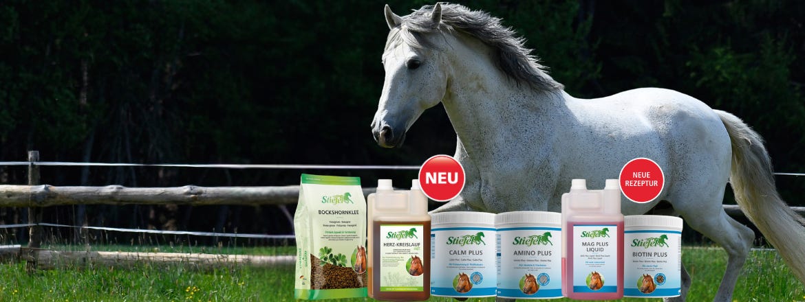 10% auf alle Neuheiten!