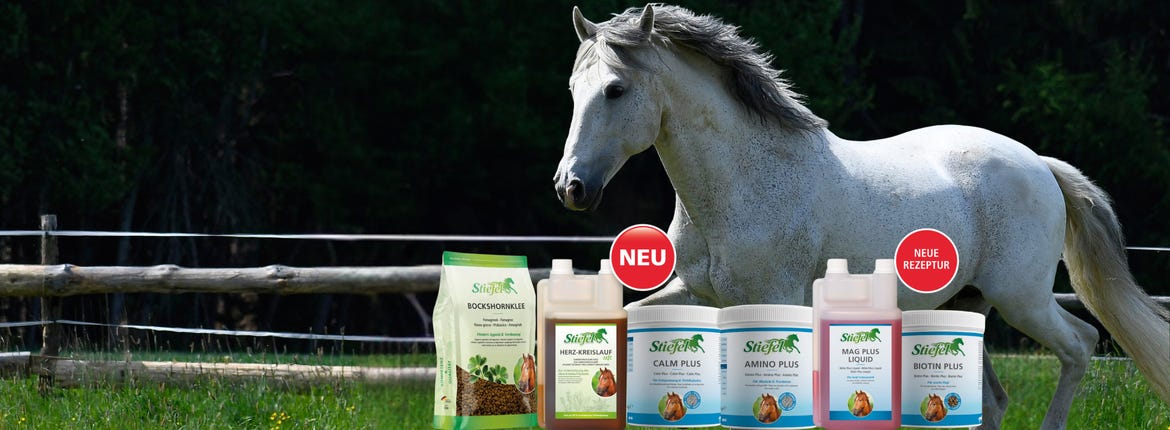 10% auf alle Neuheiten!