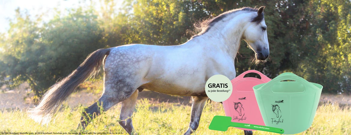 Großer Oster-Sale🐰