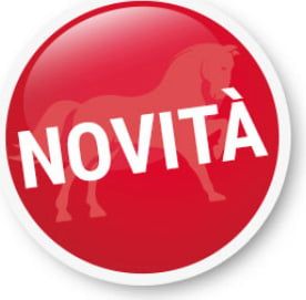 Novità in negozio!