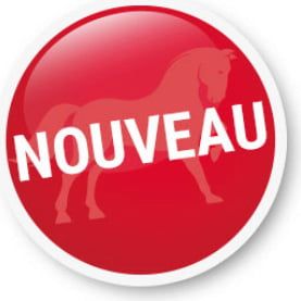 Nouveau