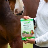 Einzelkräuter von Stiefel