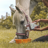 Stiefel - Bevande a base di erbe per il tuo cavallo 