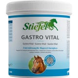 Stiefel Gastro Vital