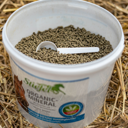 Stiefel Organic-Mineral