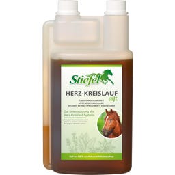 Stiefel Jus pour le Système Cardiovasculaire