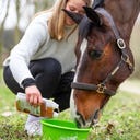 Stiefel Succo per il Sistema Cardiovascolare