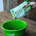 Stiefel Bockshornkleesamen