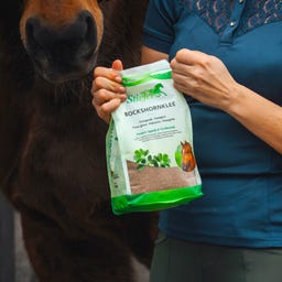 Stiefel Bockshornkleesamen