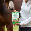 Stiefel Bockshornkleesamen