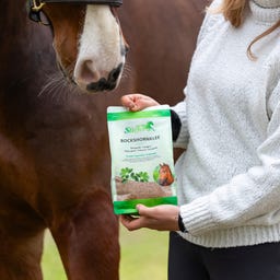 Stiefel Bockshornkleesamen