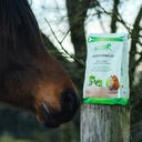 Stiefel Bockshornkleesamen