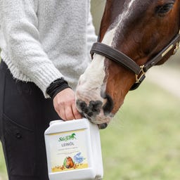 Stiefel Leinöl - 5 l