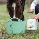 Stiefel Leinöl - 5 l