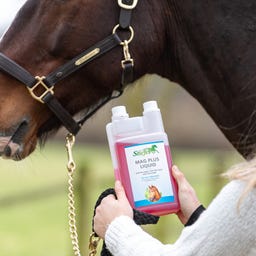 Stiefel Mag Plus - Solution Liquide