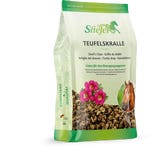 Stiefel Teufelskralle, geschnitten