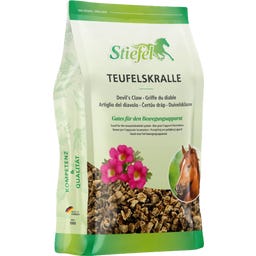 Stiefel Griffe du diable, racine coupée