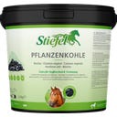 Stiefel Pflanzenkohle