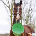 Stiefel Flexischale 17 l Pistazie 