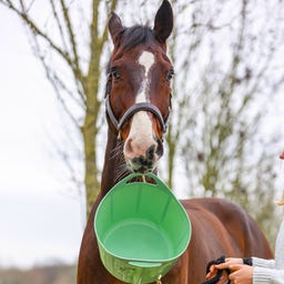 Stiefel Flexischale 17 l Pistazie 