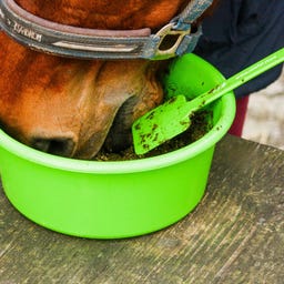 Stiefel Cuillère à Mash