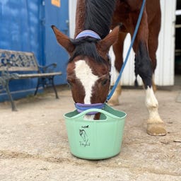 Stiefel Flexischale 17 l Pistazie 