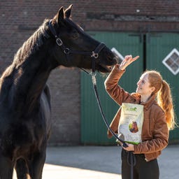 Stiefel Herbes antitussives
