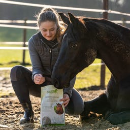 Stiefel Herbes pour les Reins