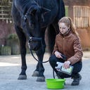 Stiefel Wurmkräutersaft