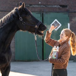 Stiefel Nervenkräutersaft