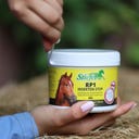 Stiefel RP1 Gel Anti Insetti