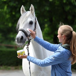 Stiefel RP1 Gel Anti Insetti