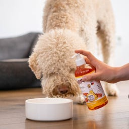 Stiefel Lososovo olje