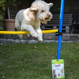 Stiefel Herbes pour le Mouvement