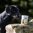 Stiefel Levure de Bière