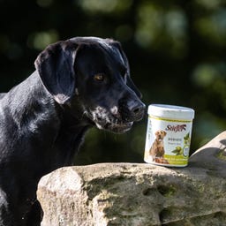 Stiefel Levure de Bière