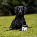 Stiefel Pflanzenkohle