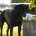 Stiefel Muschelpulver