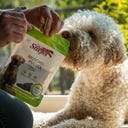 Stiefel Muschelpulver