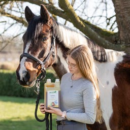 Stiefel Linseed Oil	 - 1 l