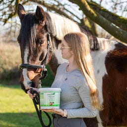 Stiefel Spirulina Pellets