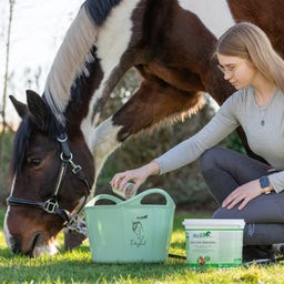 Stiefel Seau Souple 17 L