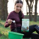 Stiefel Navadna konopljika, cela semena