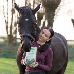 Stiefel Navadna konopljika, cela semena