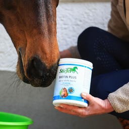 Stiefel Biotina Plus in Pellet