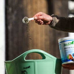 Stiefel Biotina Plus in Pellet