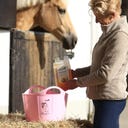 Stiefel Reiskeimöl - 1 l